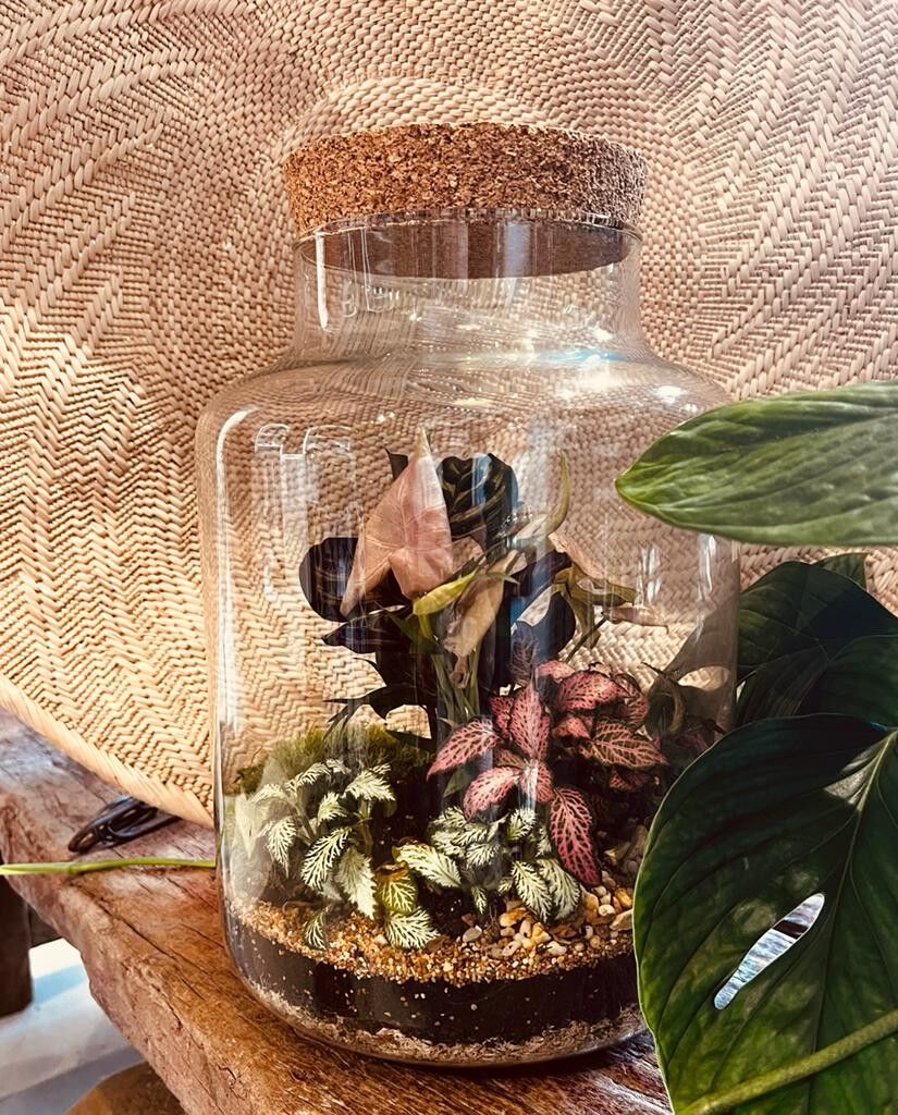 Mejora de la clase magistral: tarro de corcho alto de 30 cm x 20 cm