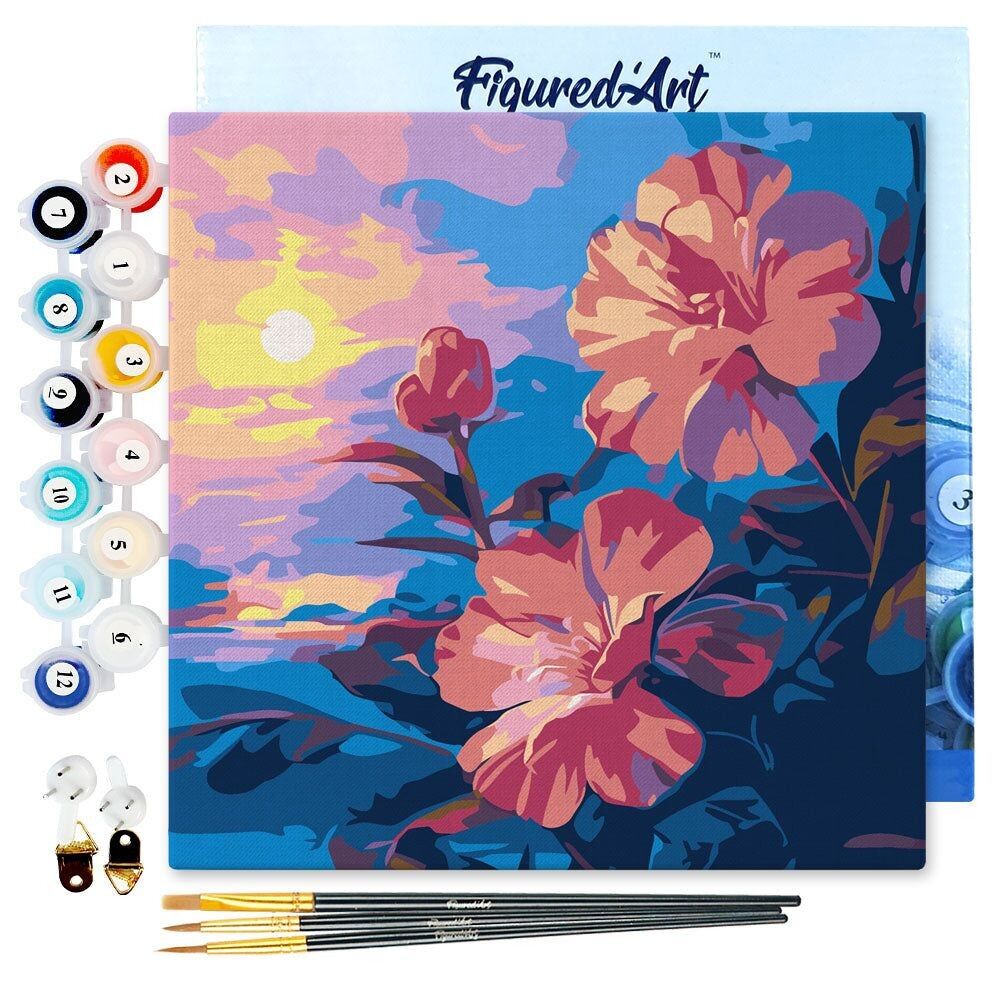 Mini Painting by Numbers 20x20cm with frame Hibiscus at sunset
