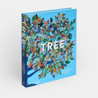 Albero: Esplorando il mondo arboreo