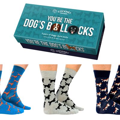 You're the dogs bollocks gift box