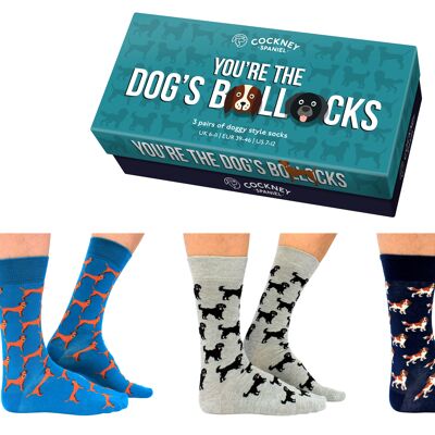 You're the dogs bollocks gift box