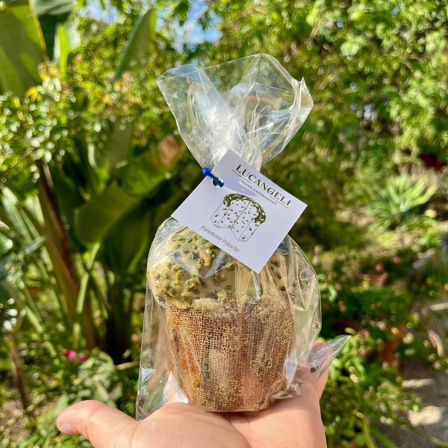 NAVIDAD - MINI PANETTONE PISTACHO 100G