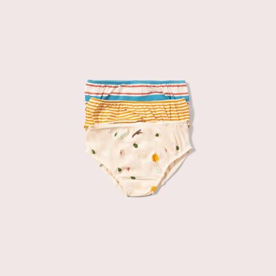 Set intimo Adventure Organic - Confezione da 3