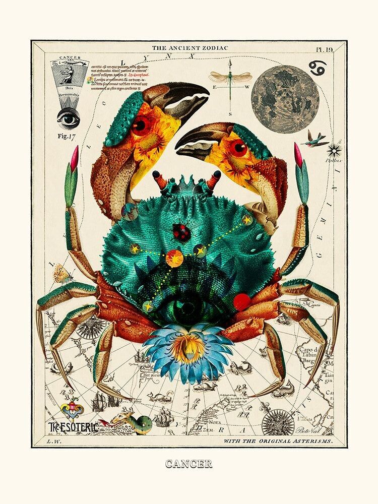 Poster con stampa d'arte - Béto Val - Cancro (Cancro Zodiaco)