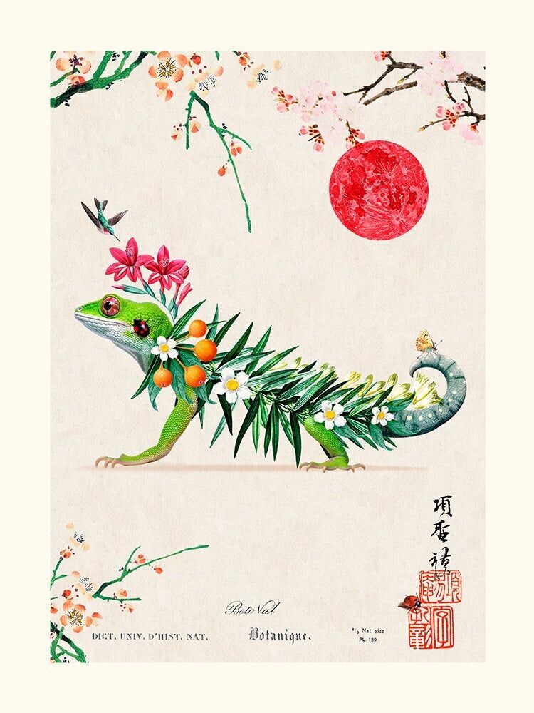 Béto Val - Lucertola