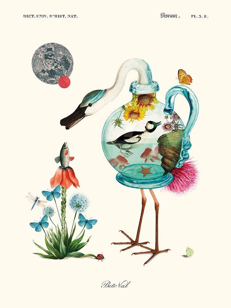 Béto Val - Nuova madre