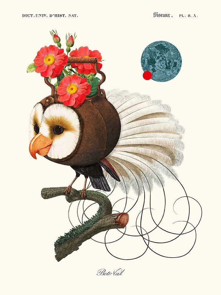 Béto Val - Piccola creatura divertente