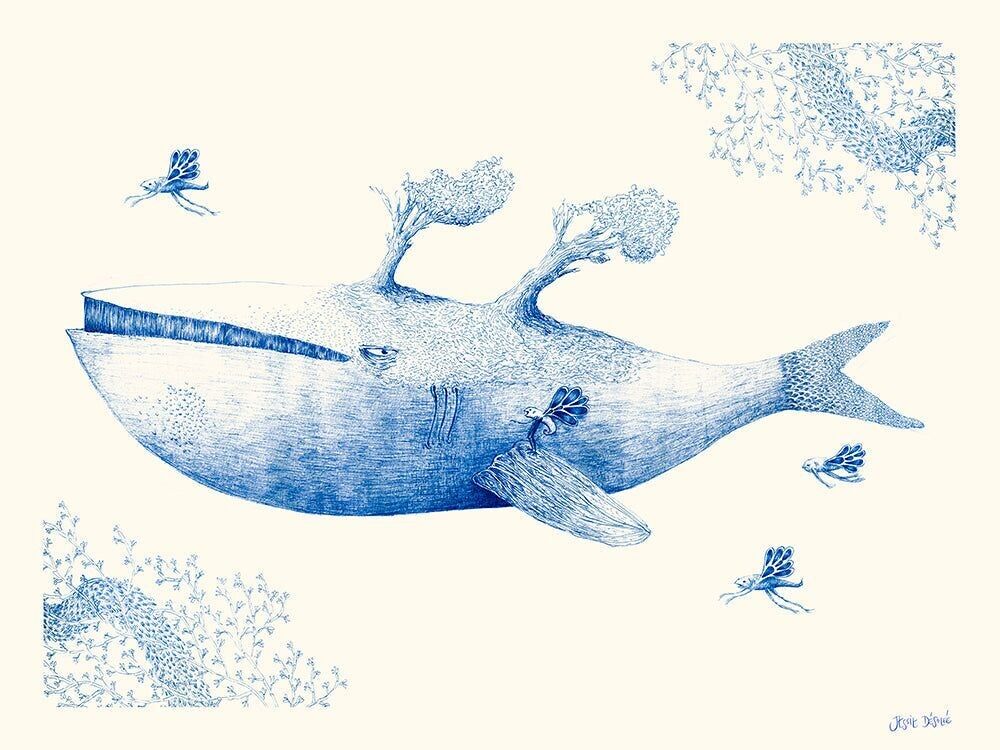 Jessie Scusa - Balena