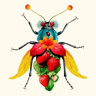 Beto Val - Insect Fruit
