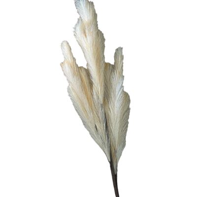 Tallo de pampa artificial de lujo marrón y crema, 101 cm