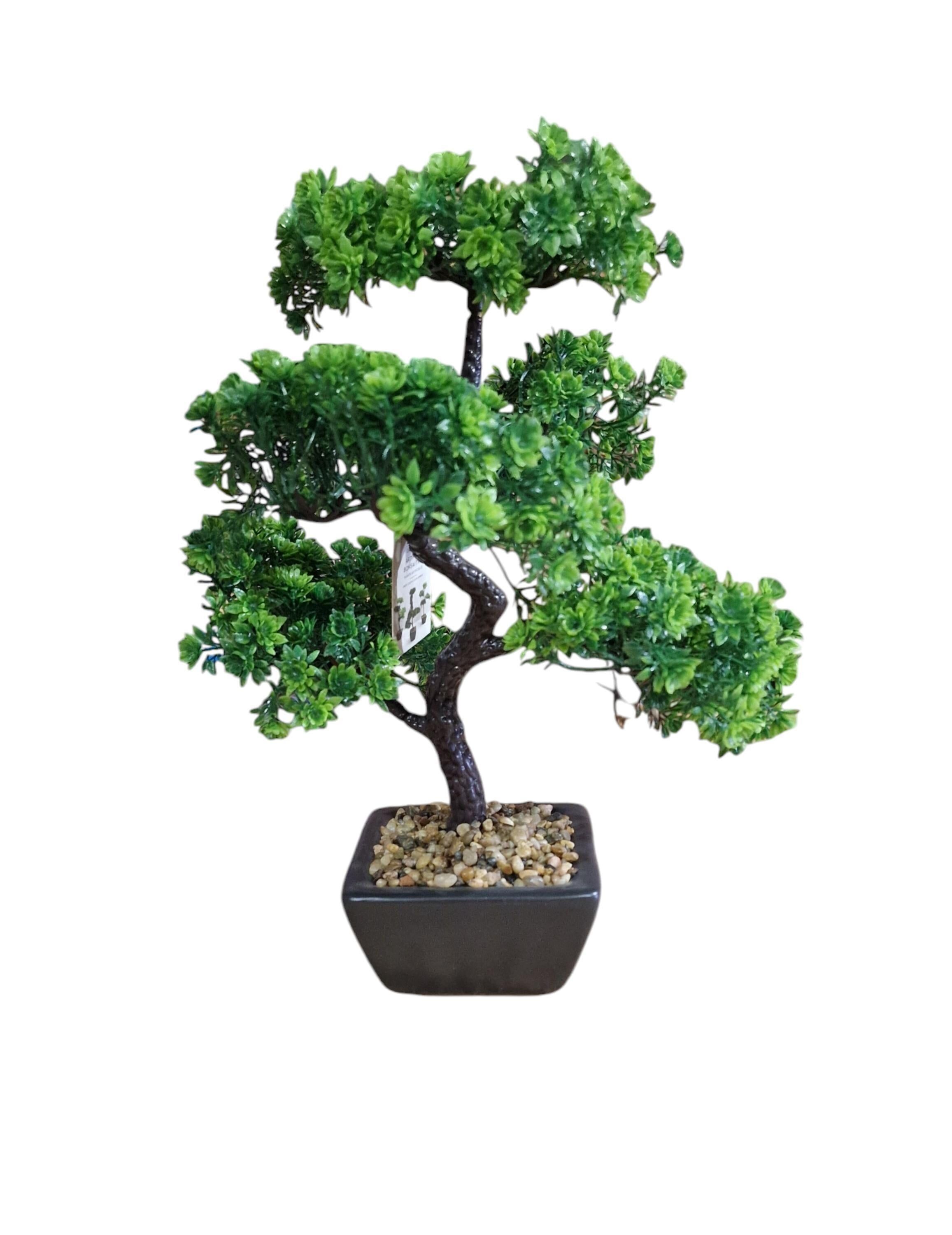 Decorazione albero bonsai bosso 37cm