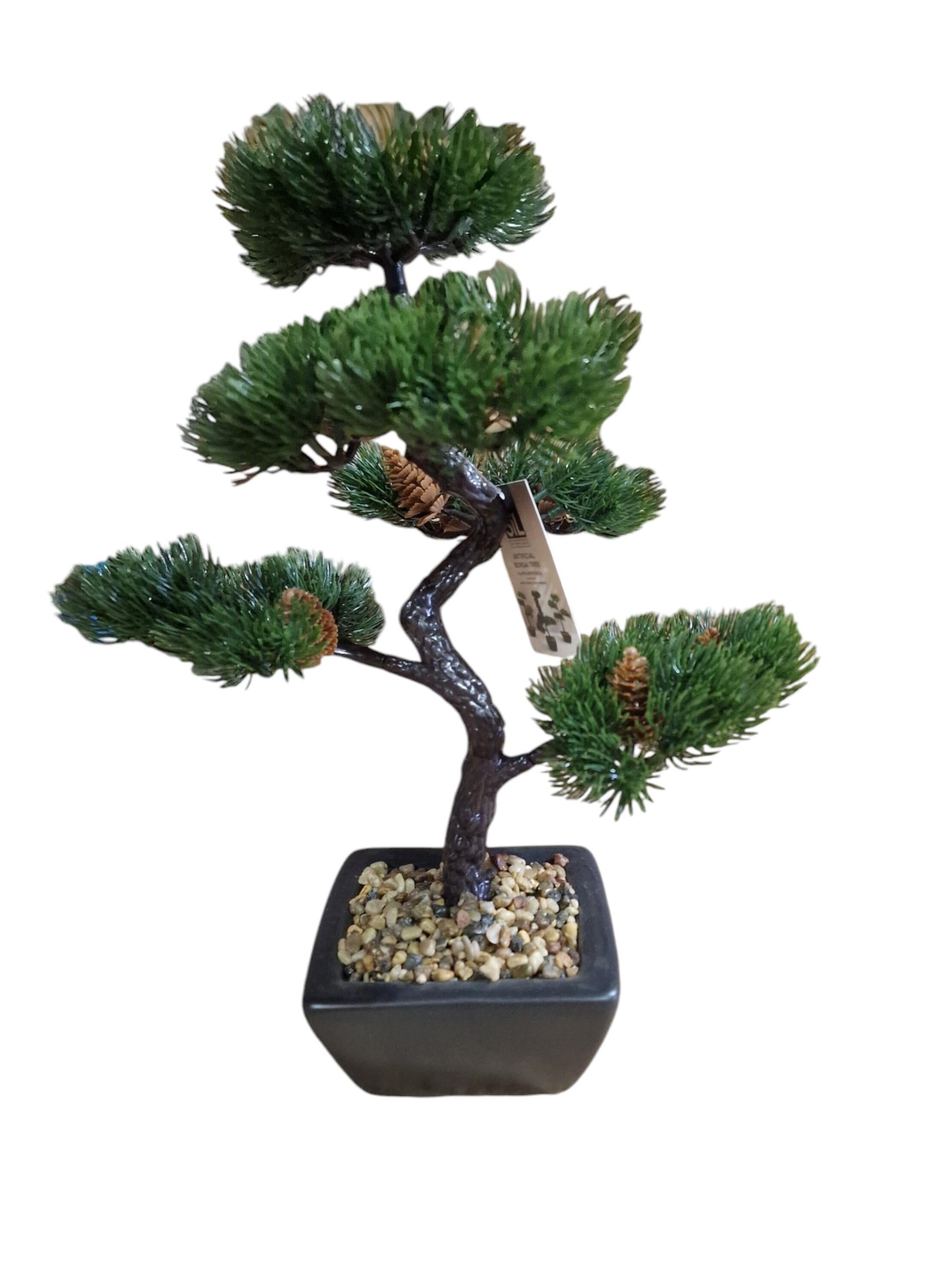 Decorazione albero bonsai abete 37cm