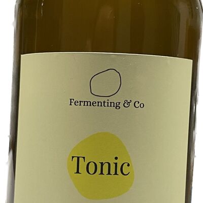 Kombucha - TONIC – CITRON CURCUMA GINGEMBRE