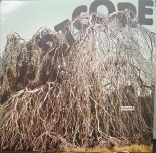 Wildbirds & Peacedrums LP - Heartcore