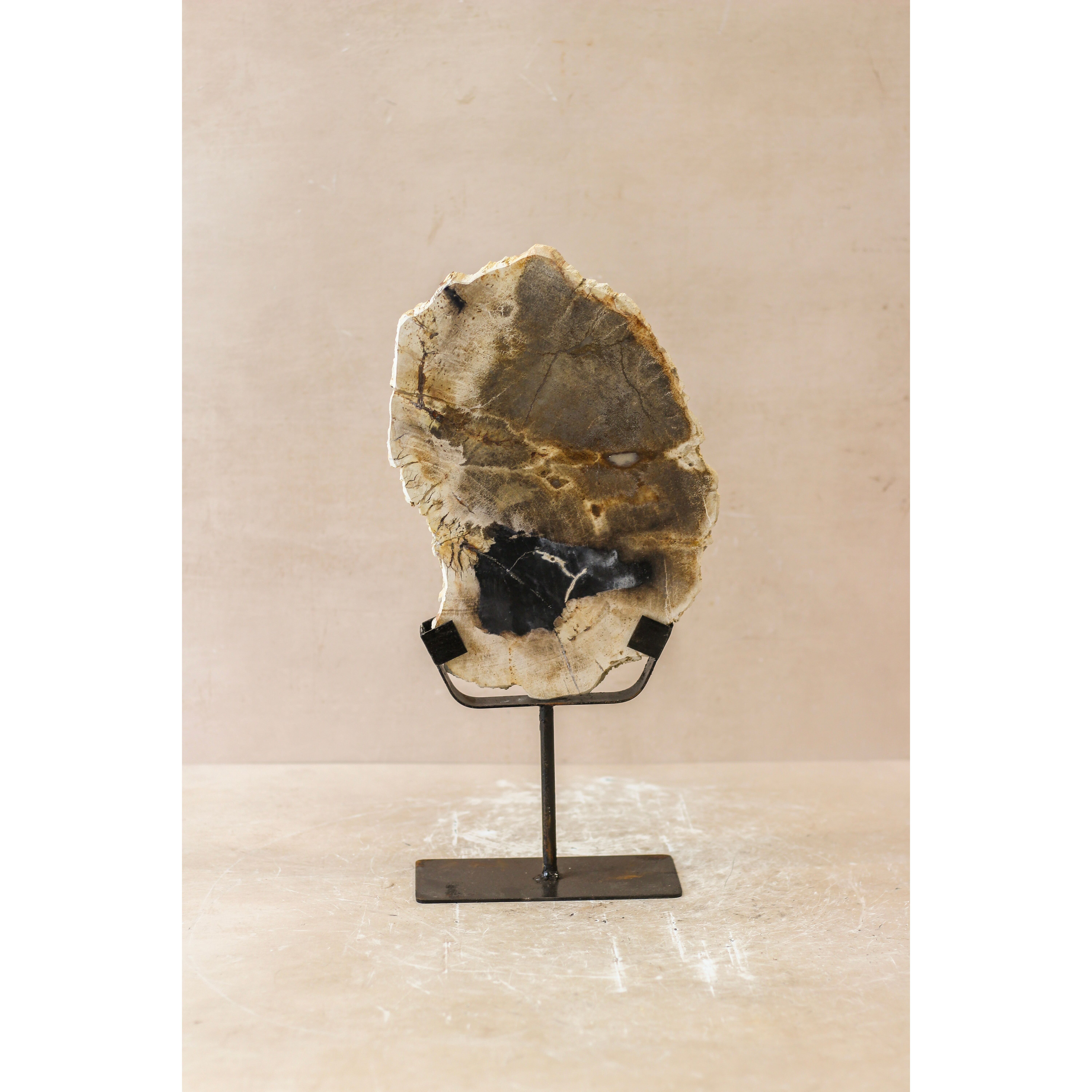 Versteinertes Holz Display - Nr. 2