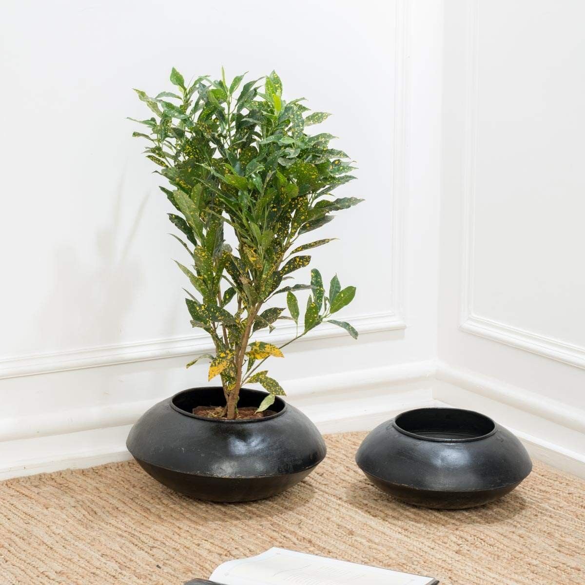 Runder Blumentopf aus Eisen, schwarzes Finish