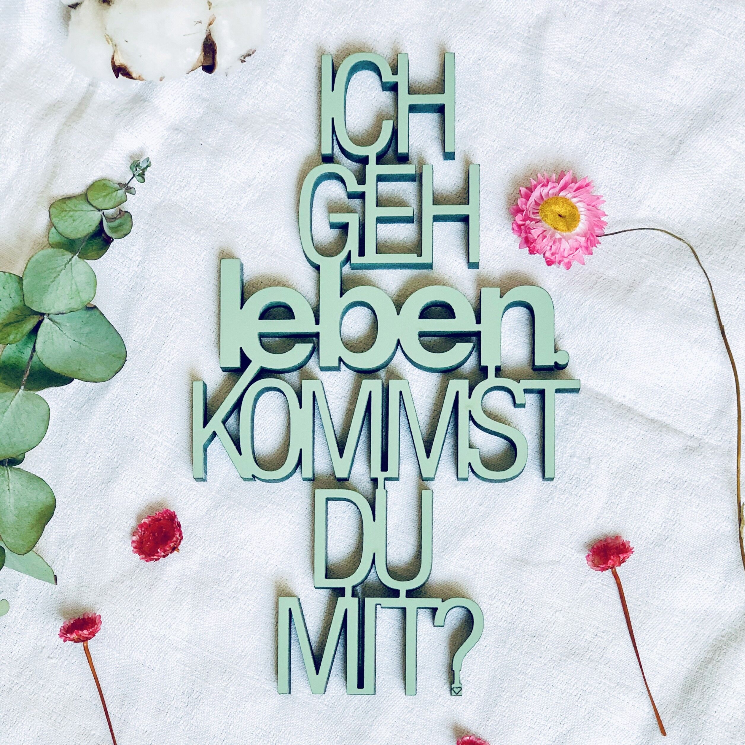 vado in diretta. vieni? - gr. M.