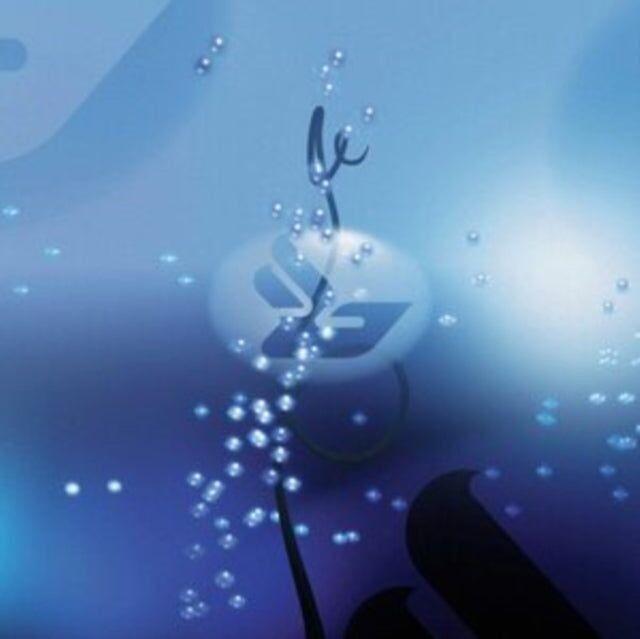 Bjork LP Vinile - Joga