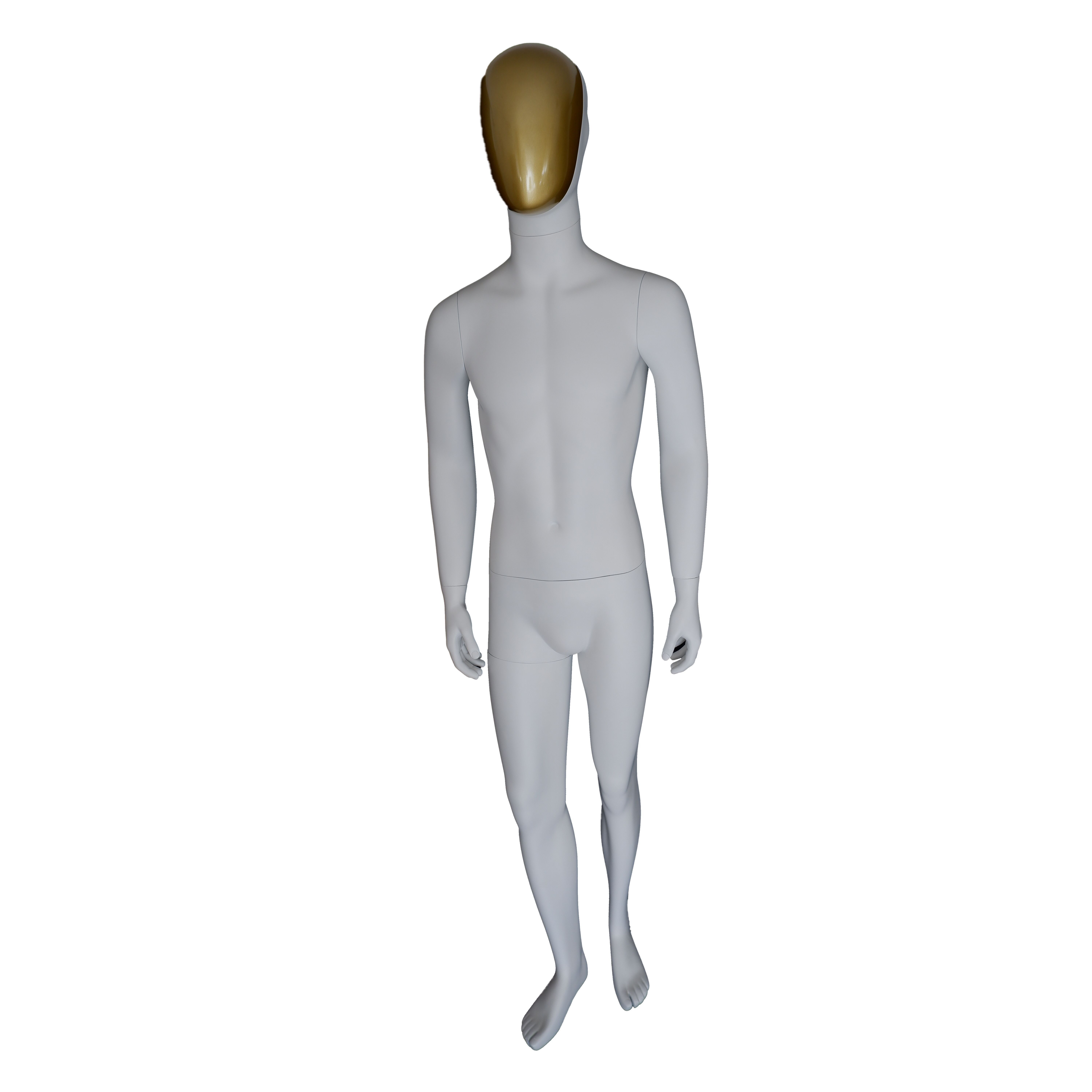 STELLEN SIE SICH TRENDIGEN MANNEQUIN-ARMEN ENTLANG DES KÖRPERS AB