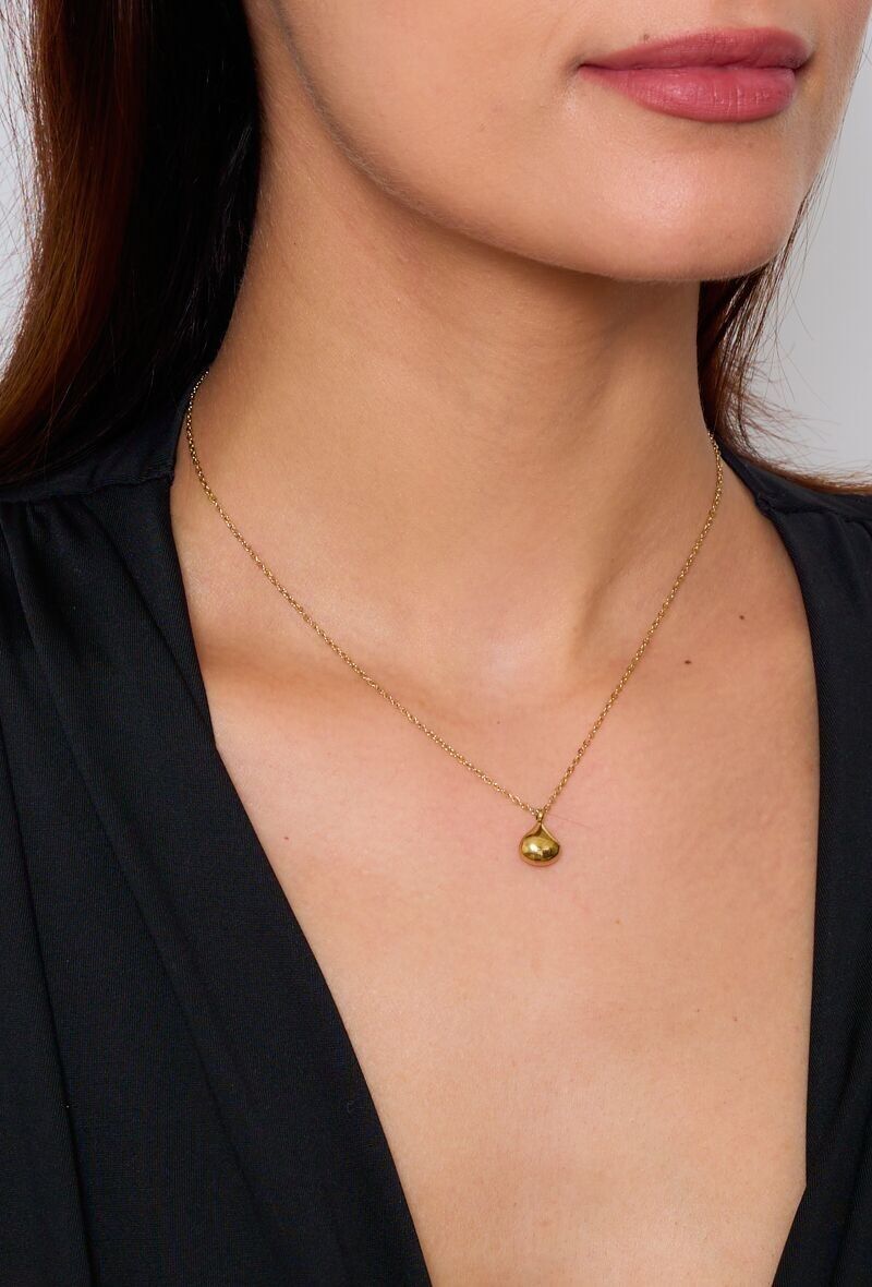 Collare in acciaio inox 224DY25