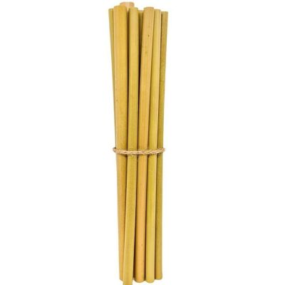 Bambusstrohhalme l Großes Modell
