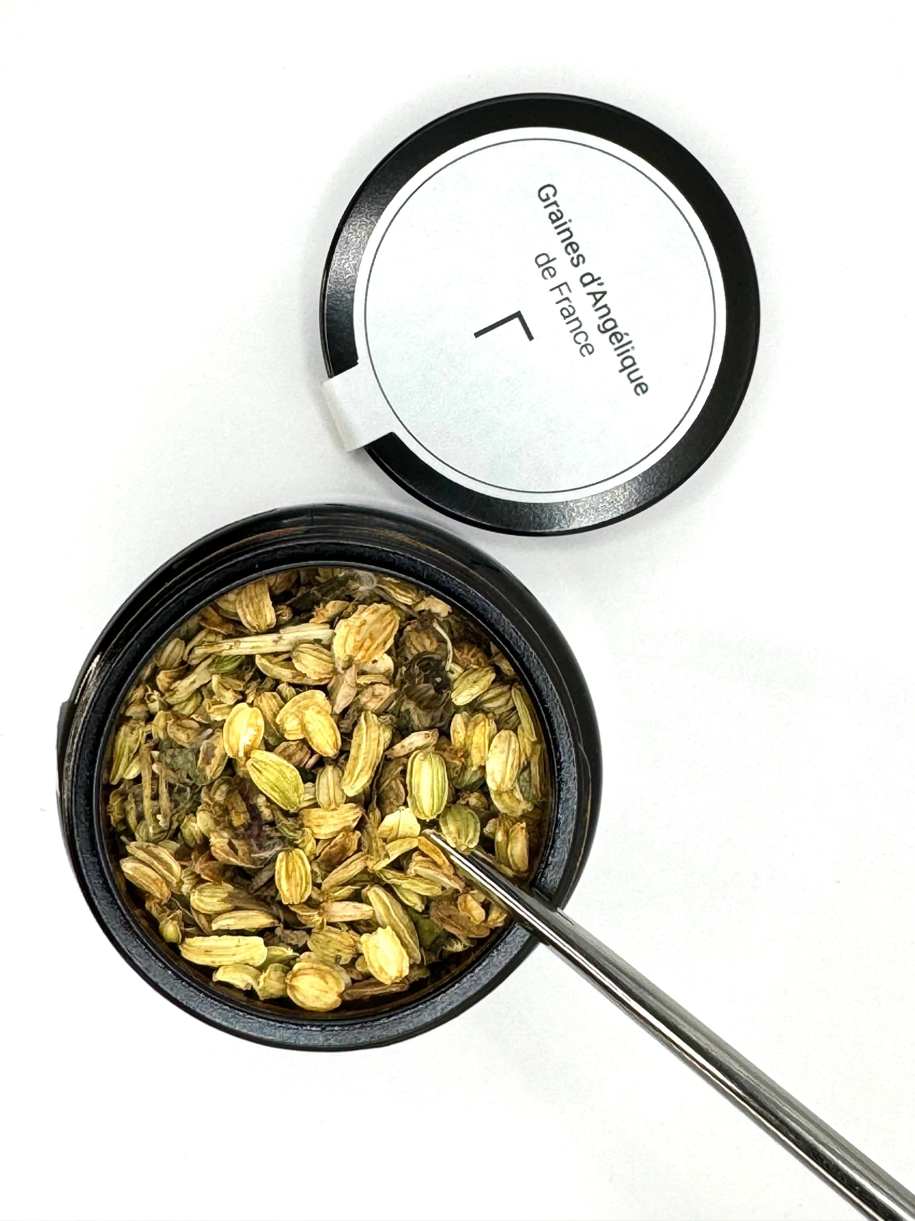 Angelikasamen aus Frankreich