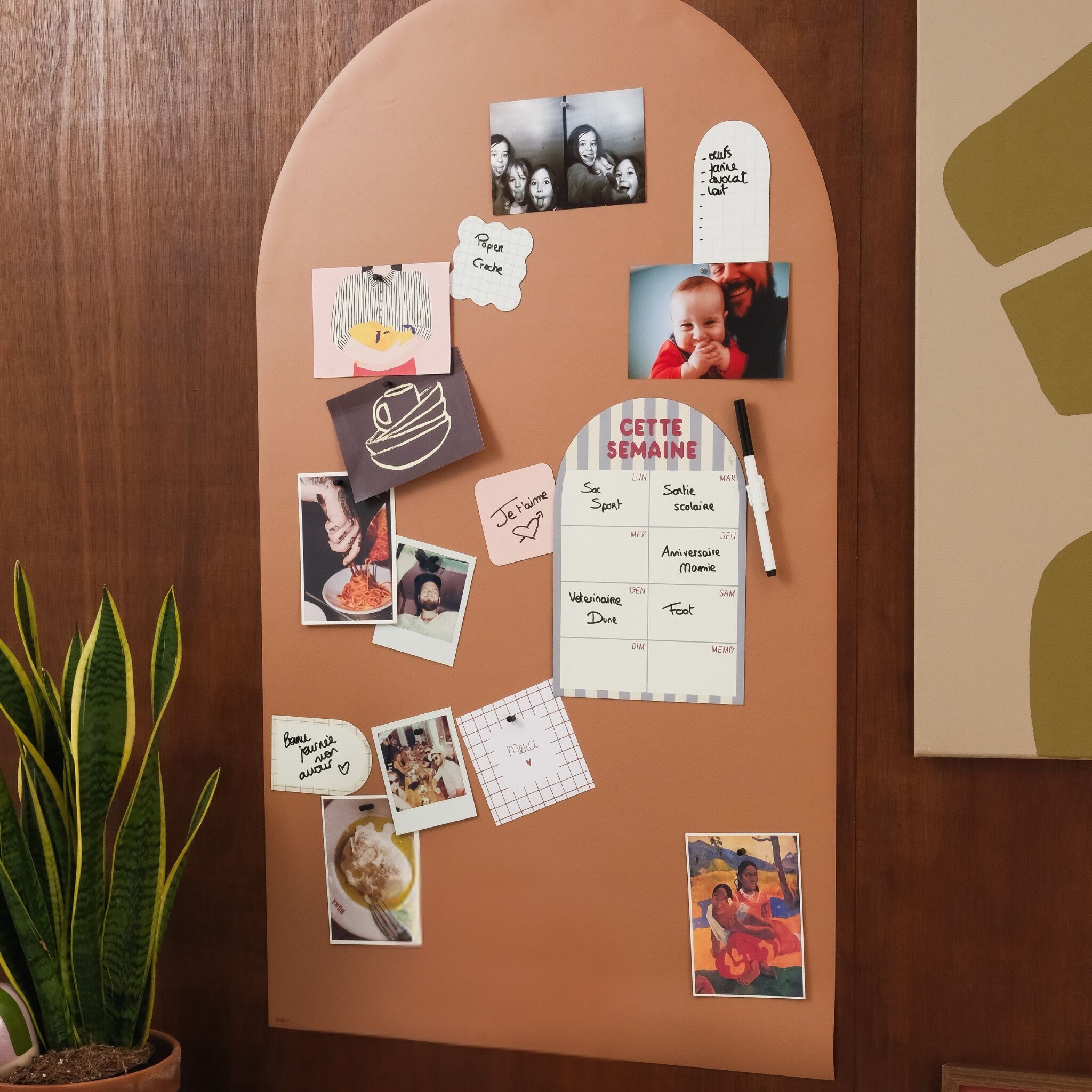 Bunte Bogen-Magnettafel – 1 m x 58 cm