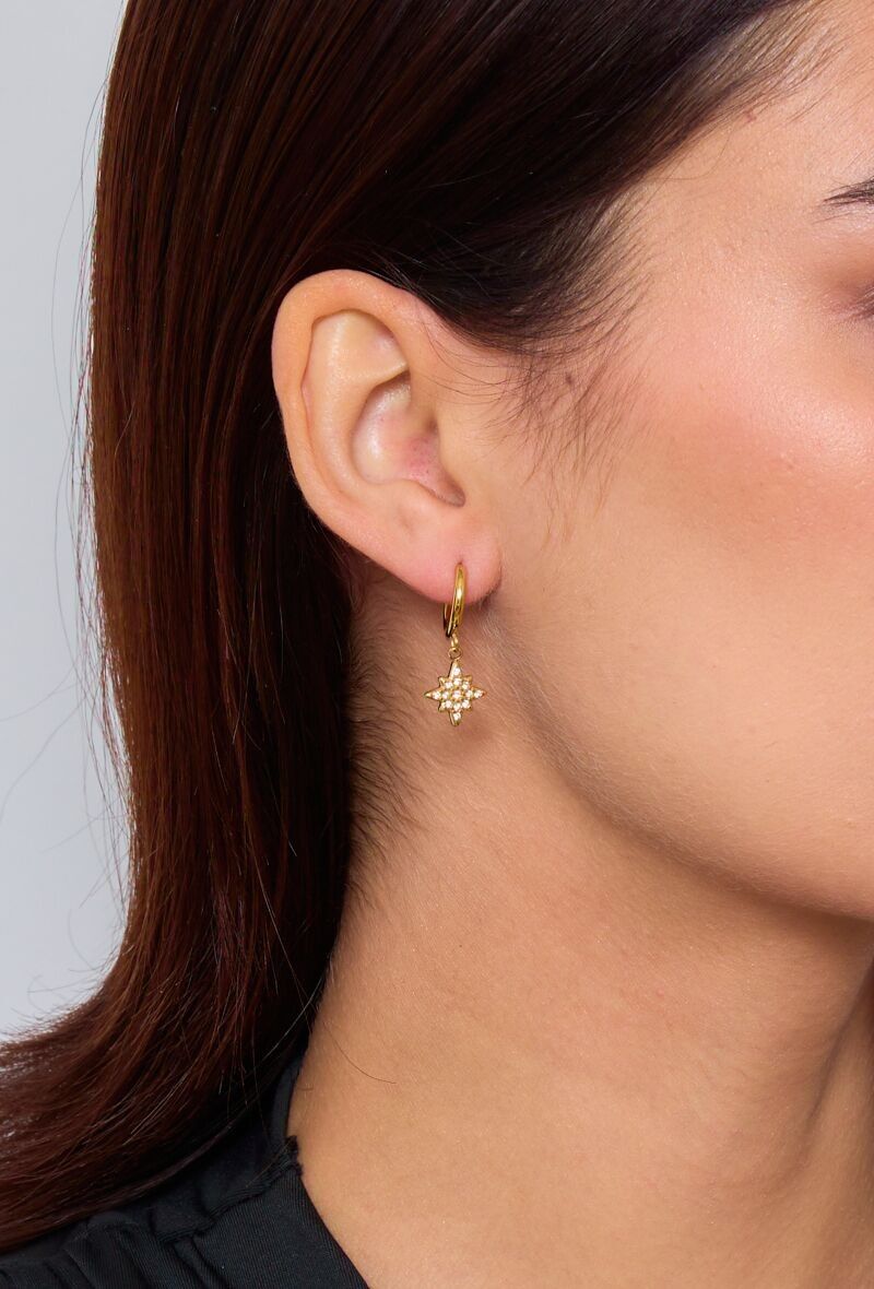 Orecchini in acciaio inossidabile 124AQ78