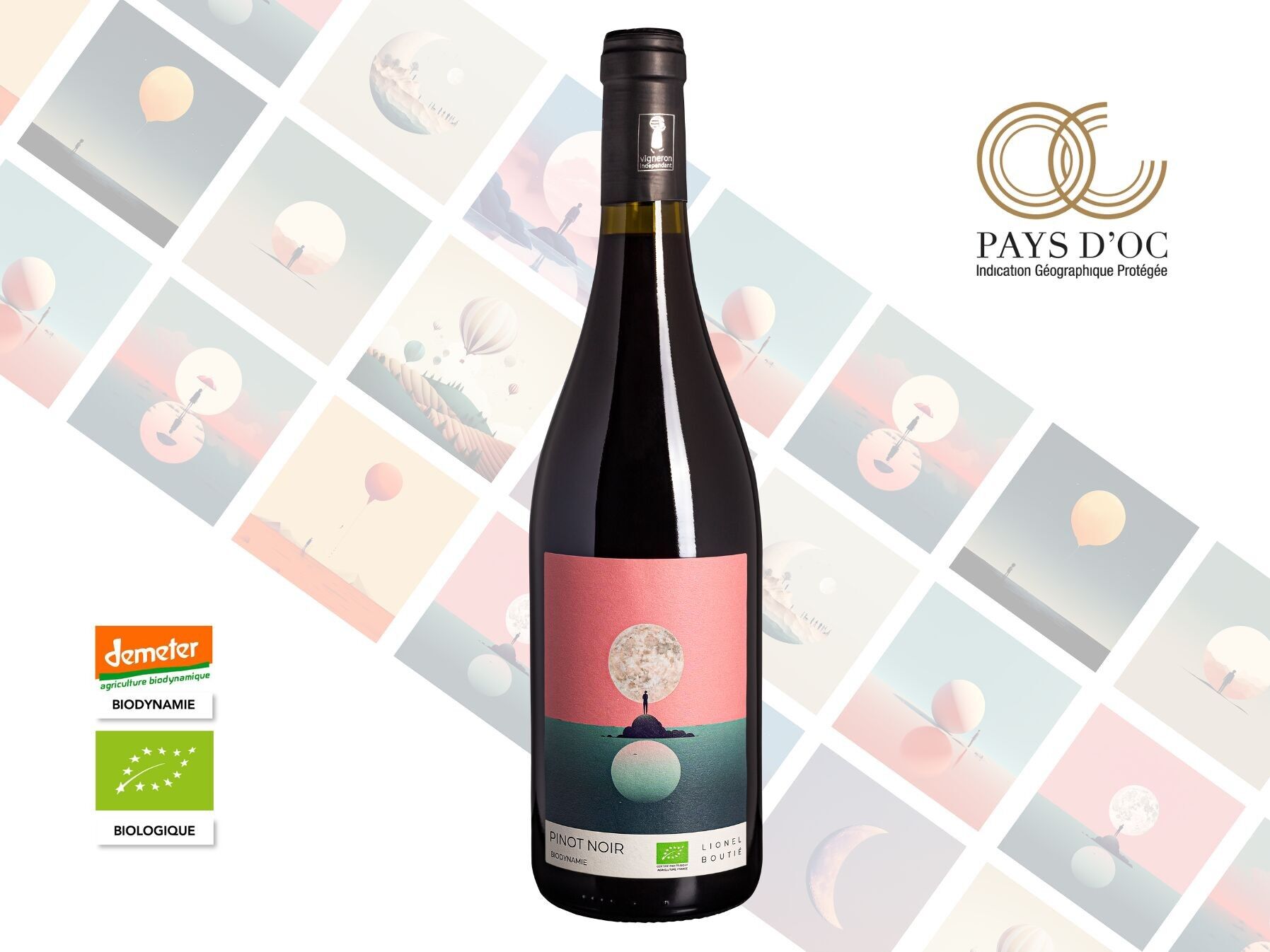 Pinot Noir Lune 2025 – Demeter Biodynamischer Rotwein