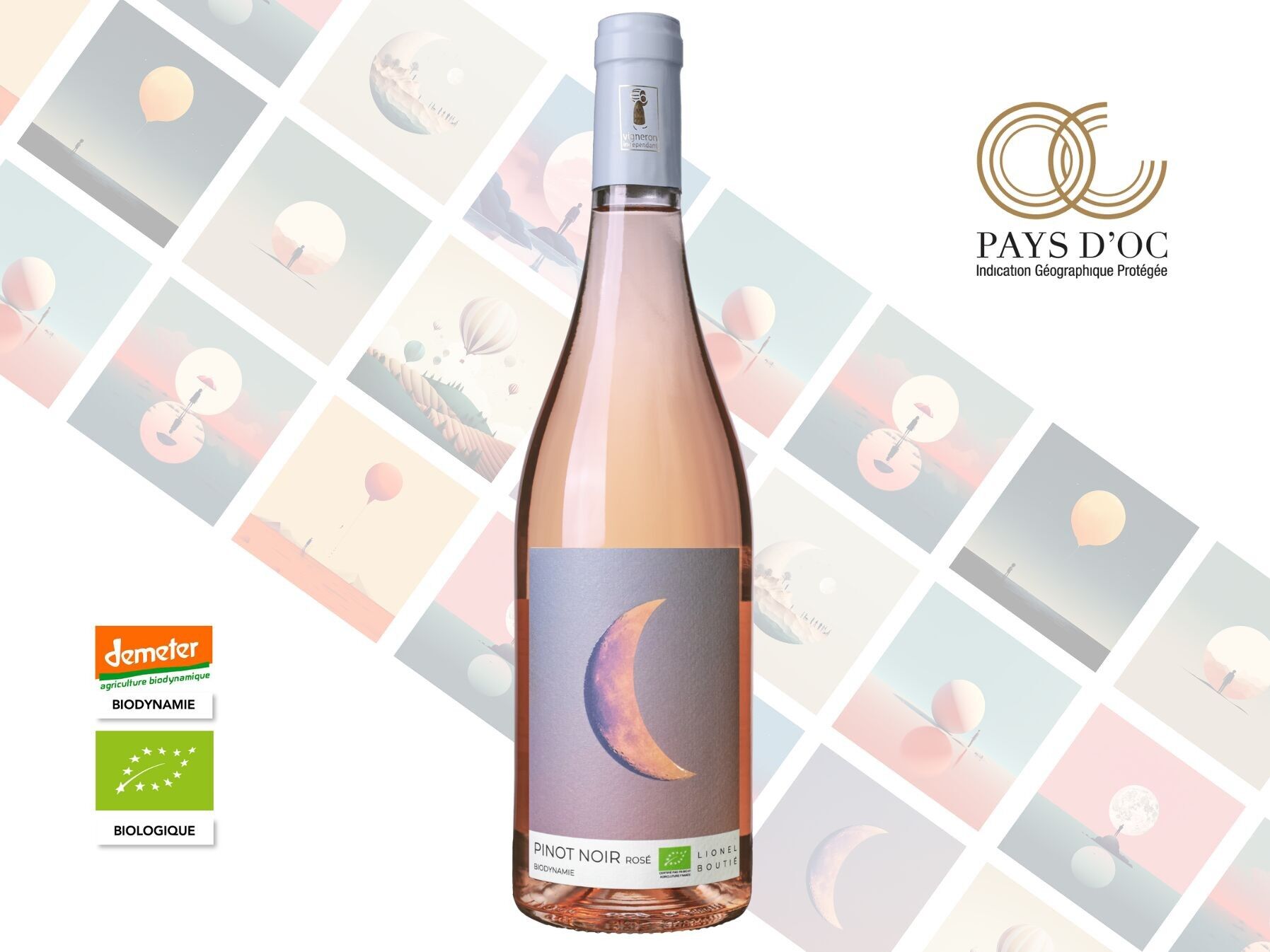 Pinot Noir Rosé Lune 2025 – Biodynamischer Roséwein – Raffiniert und ausdrucksstark