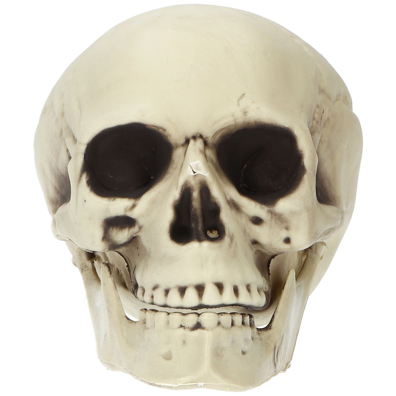 Decoration - Skull - Halloween - 14 x 17 x 19 cm
