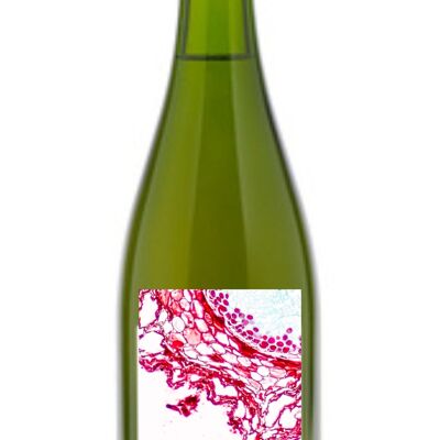 ¨Merlot Naturale Frizzante “Les Grèses sauvage” biodinamico 2022