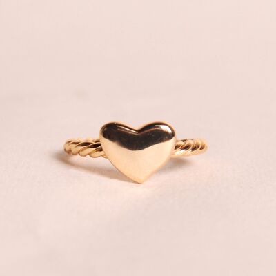 Anillo Sacha - Sencillo