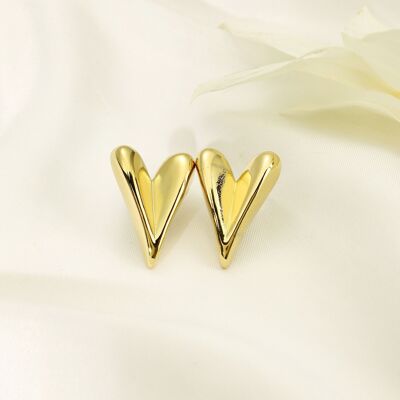 Pendientes corazón acero inoxidable -BO100285OR