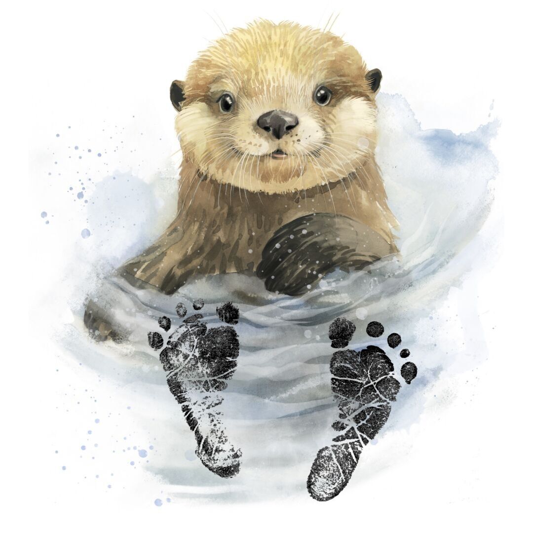 Kit per le impronte dei cuccioli di lontra