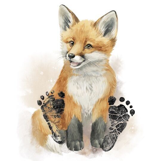 Kit per impronte di volpe