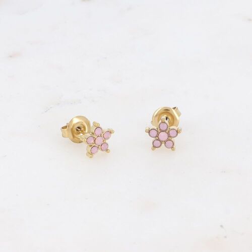Boucles puces - étoile et oxydes de zirconium