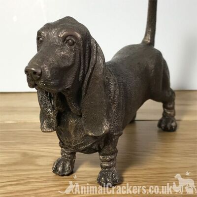 Figurine Basset Hound en bronze massif coulé à froid, en coffret cadeau