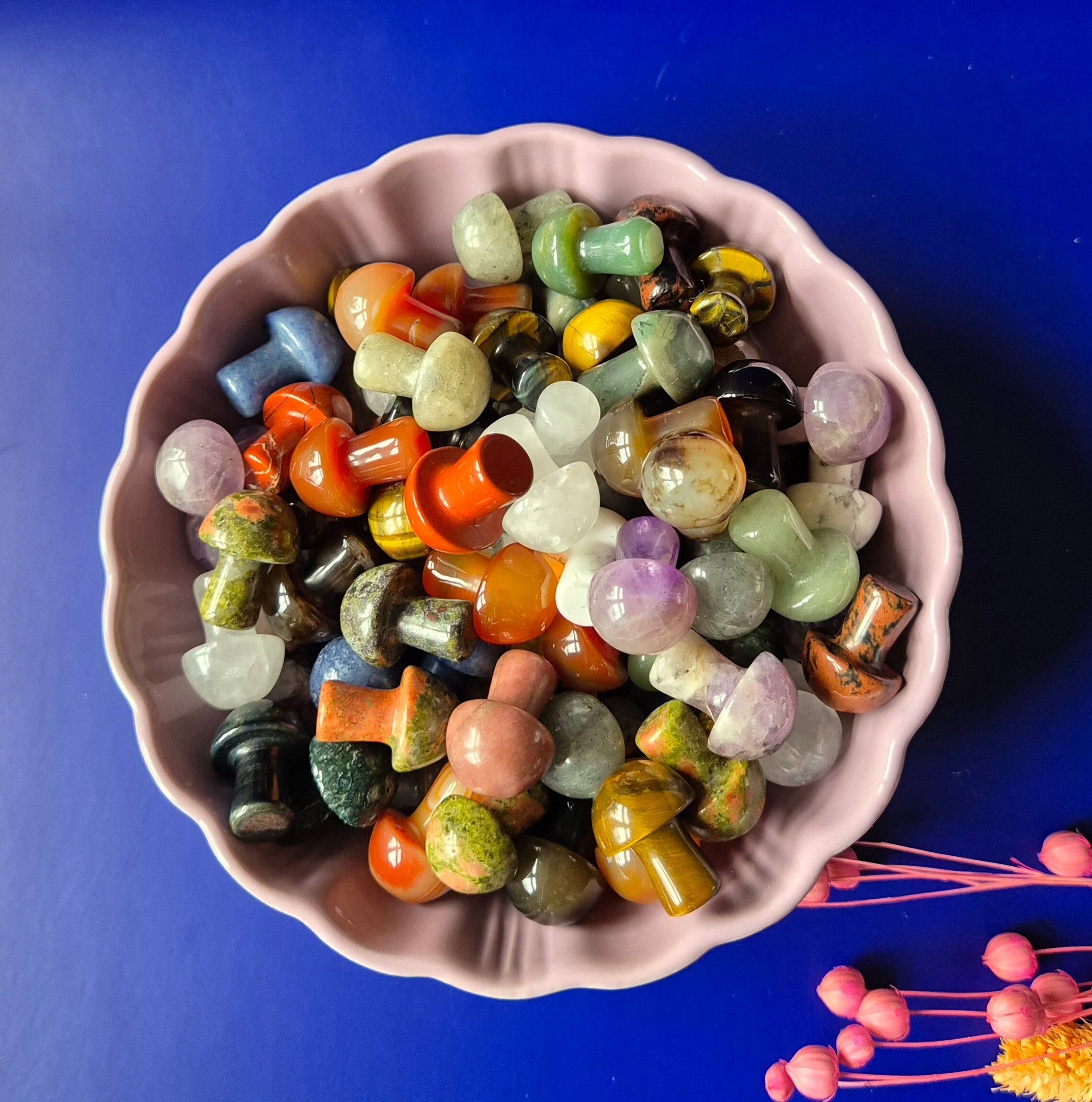 Mini fungo gemma da 2 cm – Varietà scelta intuitivamente