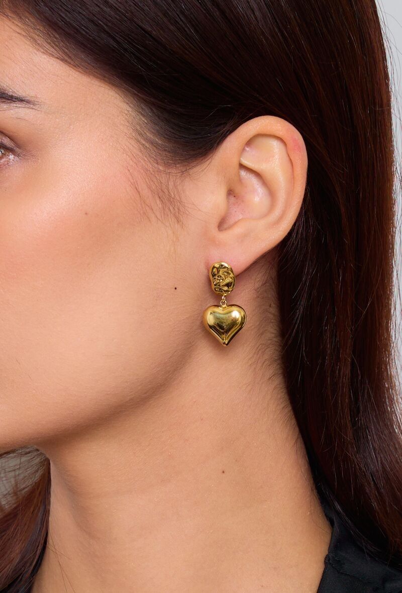 Orecchini in acciaio inossidabile 124AQ117