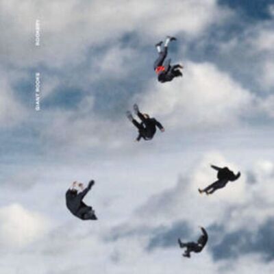Disco de vinilo LP Giant Rooks - Rookery
