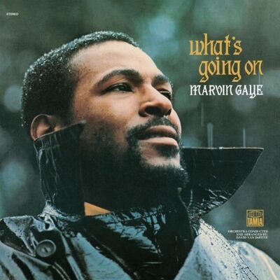 Marvin Gaye LP Vinile - What's Going On (Edizione 50° Anniversario)