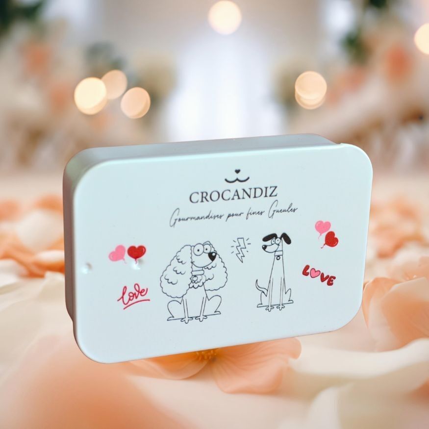 Leckerli-Box für Hunde