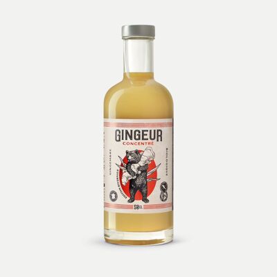 Concentrato di Zenzero Edizione Natalizia 50cl