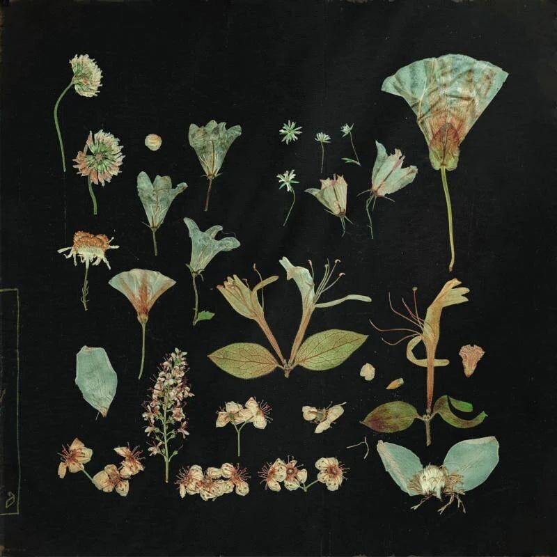 Lasciando Laurel LP - Quando arriva il silenzio