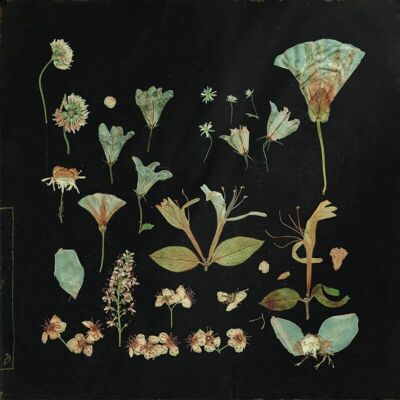Lasciando Laurel LP - Quando arriva il silenzio