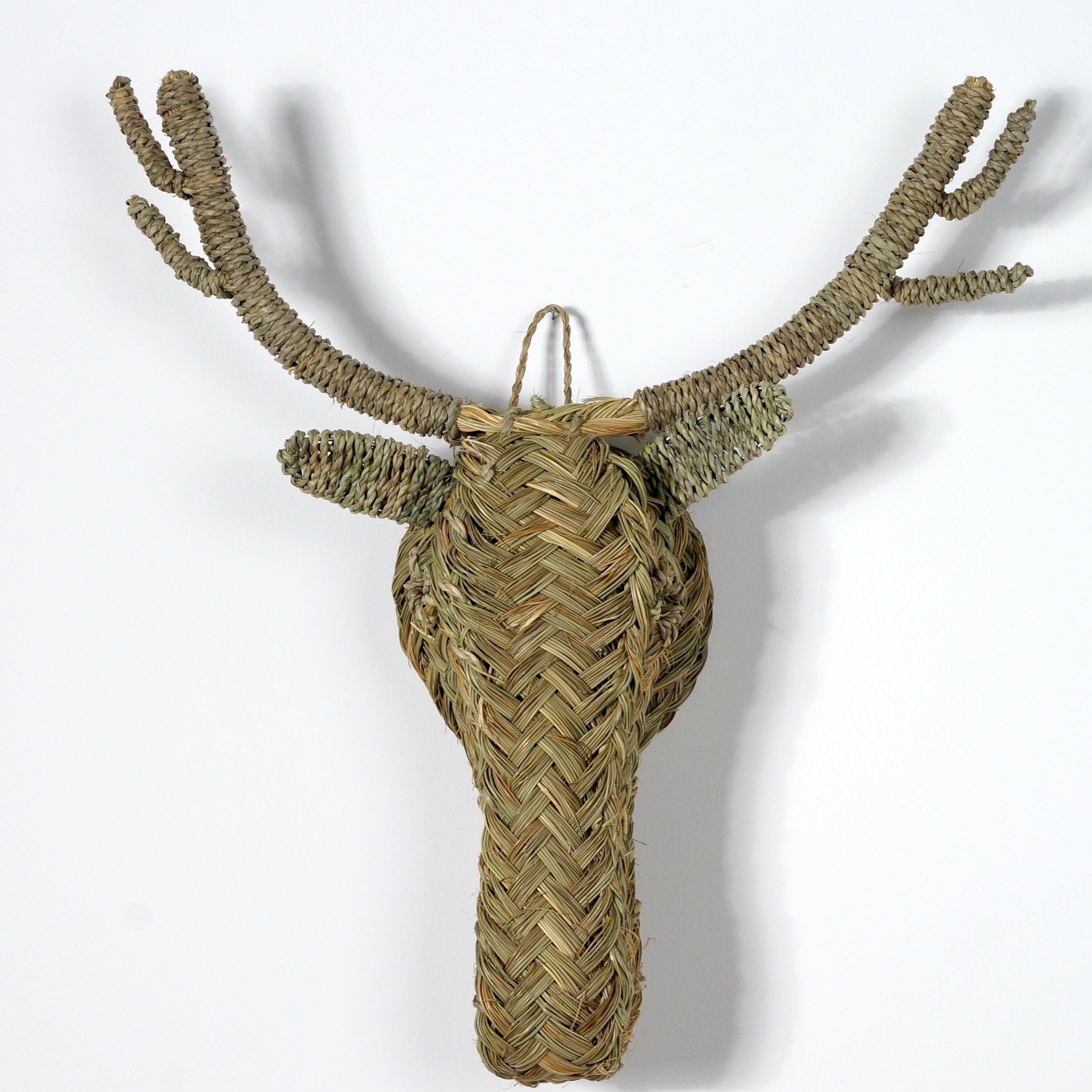 Trofeo da parete con animale - Testa di cervo