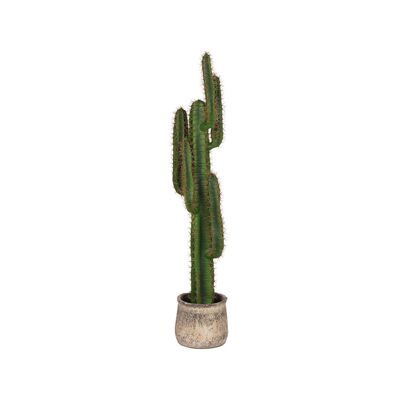 Homenegozio Cactus - Verde - Kunststof - 130 cm