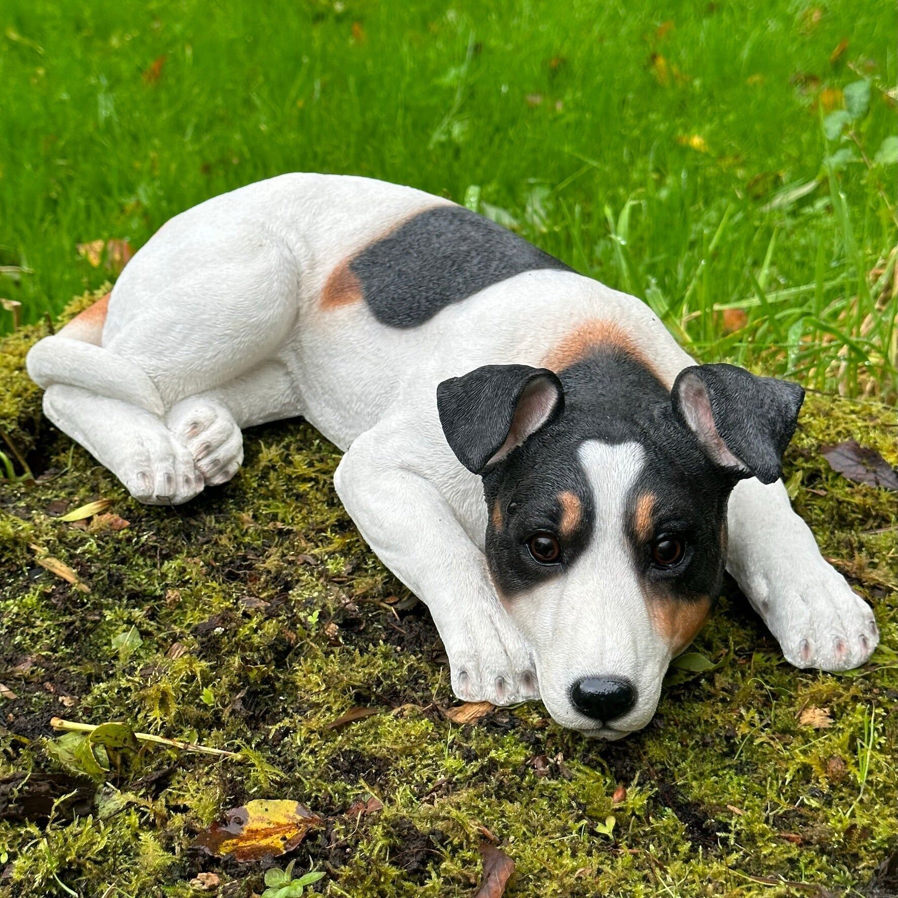 Figura de Jack Russell acostado, adorno grande de 46 cm, idea de monumento, lápida o decoración de jardín