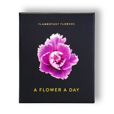 Fiori sgargianti